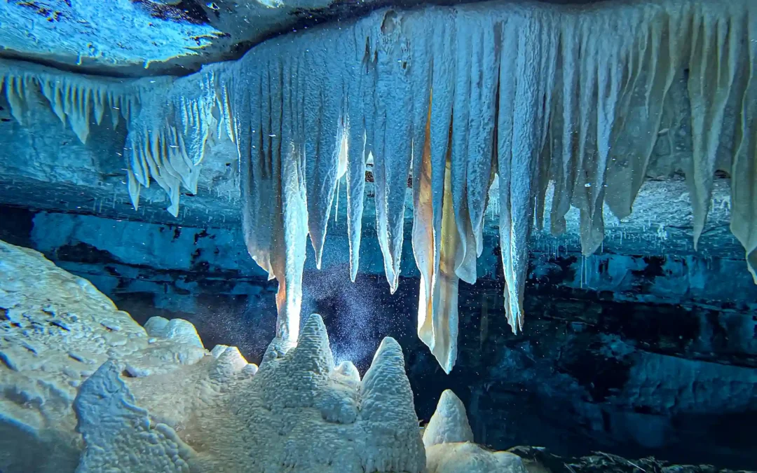 Into the Deep